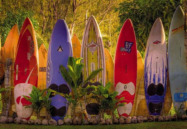 Фотообои на стену «Серфинг» Komar 8-902 Maui