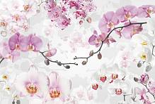 Флизелиновые фотообои «Цветы орхидеи фиолетовые и белые» Komar XXL4-032 Allure