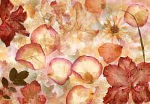 ФЛИЗЕЛИНОВЫЕ фотообои на стену «Цветочный гербарий» WG 00963 Dried flowers