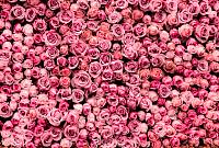 Фотообои HARMONY Decor HD4-172 Розовые розы