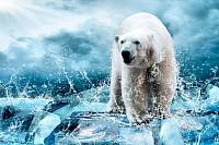 Постер 1 XXL URBAN Design UD 036 Лед Медведь во льдах