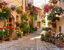 Фотообои на стену «Италия в цветах». Divino C1-363