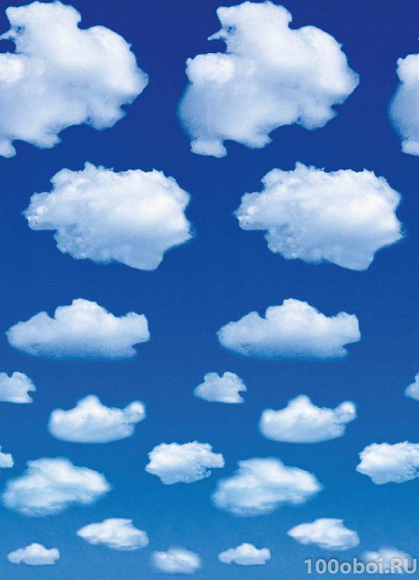 Фотообои на стену «Белые облака» WG 00402 White Clouds