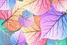 Фотообои HARMONY HD4-144 Разноцветные листья