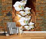 Фотообои URBAN Design UD2-055 3Д фотообои Белая орхидея на дереве