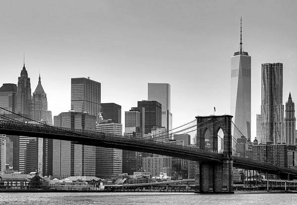 Фотообои на стену «Бруклинский мост Нью-йорк» WG 00149 New York
