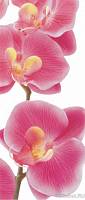 Фотообои на двери AG 0027 «Розовые орхидея» 