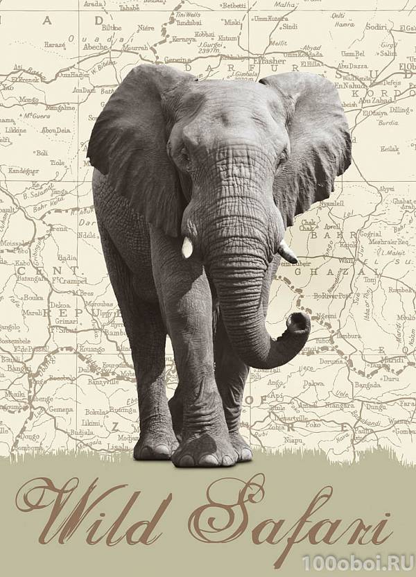 Фотообои на стену «Слон и карта» WG 00431 Wild Safari