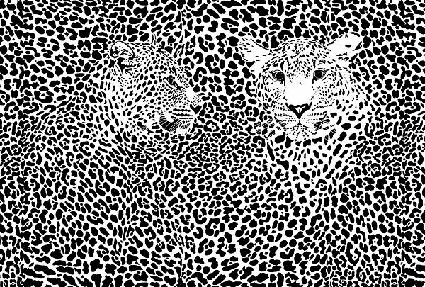 Фотообои Милан M-604 Черно-белые леопарды