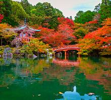 Фотообои URBAN Design UD3-108 Осенний сад в Японии