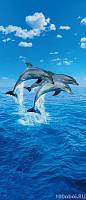 100oboi ru wg 00599 three dolphins