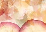 ФЛИЗЕЛИНОВЫЕ фотообои на стену «Цветочный гербарий» WG 00963 Dried flowers
