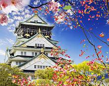 Фотообои на стену «Замок в Осаке». Divino C1-391