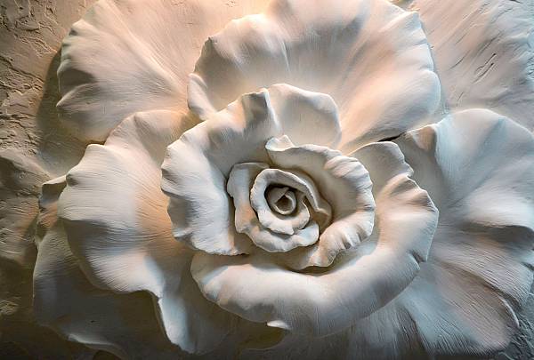 Фотообои URBAN Design UD4-108 3Д фотообои Белая роза