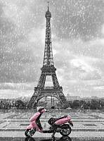 Фотообои на стену «Романтичный Париж». Divino B1-020