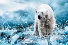 Фотообои Милан M-606 Медведь во льдах