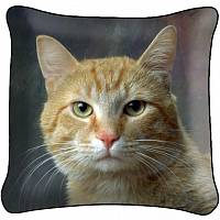 Декоративная фото подушка A1918 Рыжая кошка 2