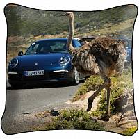 Декоративная фото подушка A1945 Машина и страус