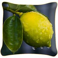 Декоративная фото подушка  A2647 Лимон