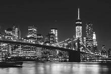 Фотообои флизелиновые  «Вид на Манхэтен ночью» i00957 Manhattan Skyline At Night