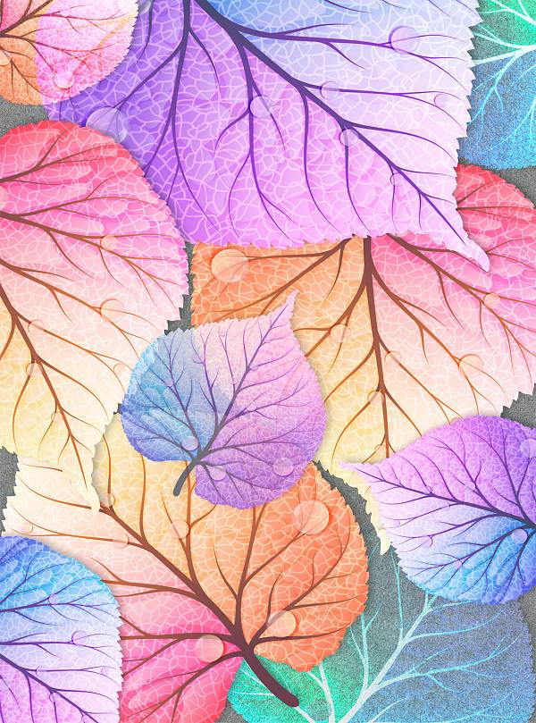Фотообои HARMONY Decor HD2-113 Разноцветные листья