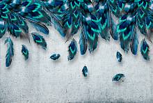 Фотообои HARMONY Decor HD4-155 Синие перья на бетонном фоне