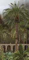 Самоклеющиеся фотообои на дверь HARMONY Decor HDD-186 Тропики Терраса с пальмами