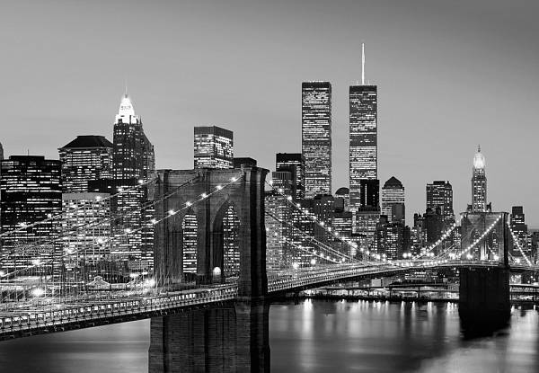 ФЛИЗЕЛИНОВЫЕ фотообои на стену «Вид на Манхэтен ночью» WG 00957 Manhattan Skyline At Night