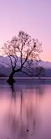 Фотообои HARMONY Decor HD1-034 Дерево в сиреневом озере