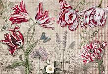 Фотообои 100 OBOI Цветы Мериан Фловерс