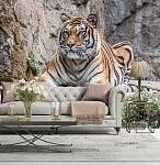 Фотообои HARMONY Decor HD4-223 Отдыхающий тигр