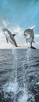 Фотообои на дверь «Дельфины». Unilith 21203 Dolphins