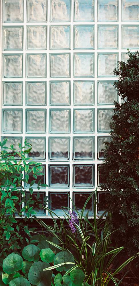 Самоклеющиеся фотообои URBAN Design UDD-039 Растения на фоне стеклоблоков