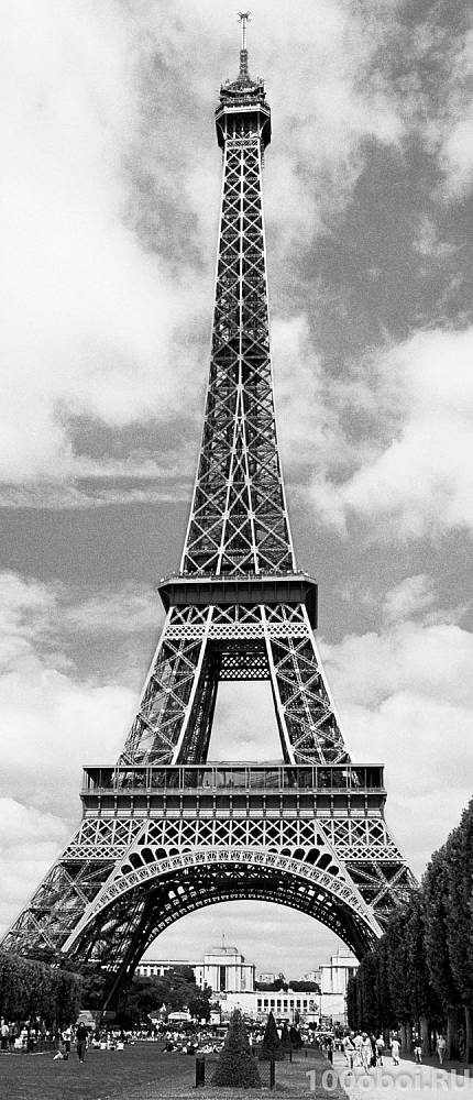 Фотообои на двери «Париж. Эйфелева башня». WG 00524 Eiffel Tower