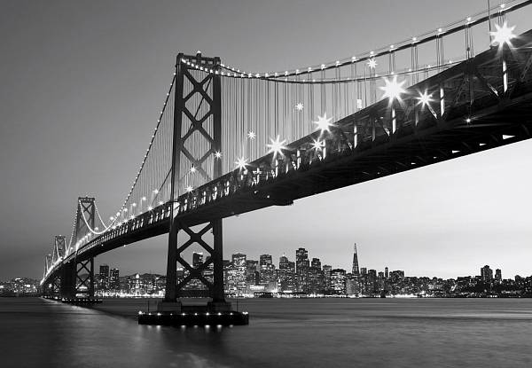 ФЛИЗЕЛИНОВЫЕ фотообои на стену «Вид на город Сан-Франциско» WG 00958 San Francisco Skyline