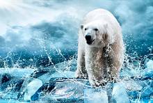 Фотообои URBAN Design UD21-36 Лед Медведь во льдах