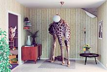 Фотообои URBAN Design UD4-183 3Д фотообои Комната с жирафом